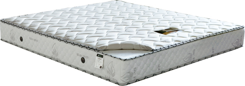 康寶.jpg 康寶.jpg