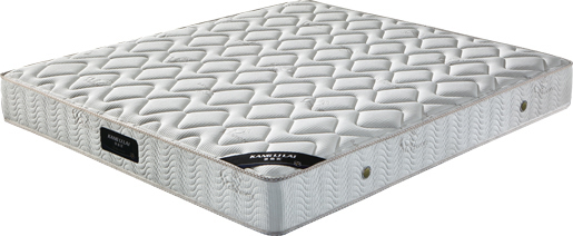 曲美.jpg 曲美.jpg